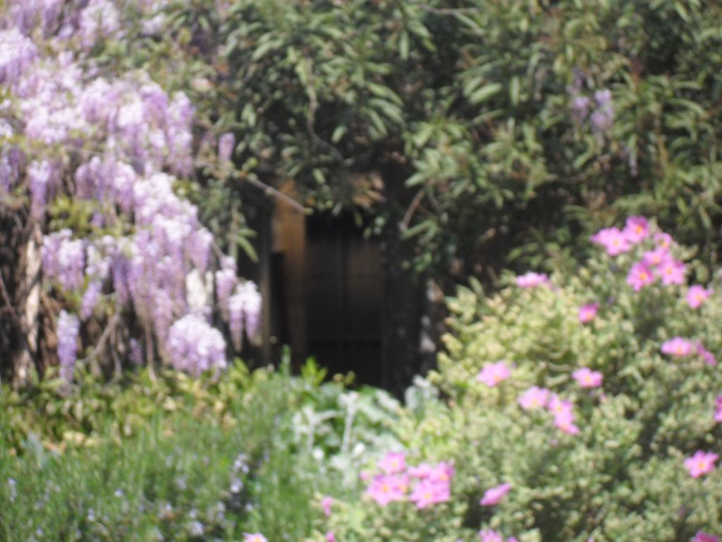 La Rose Bed & Breakfast Saint-Gervasy Luaran gambar