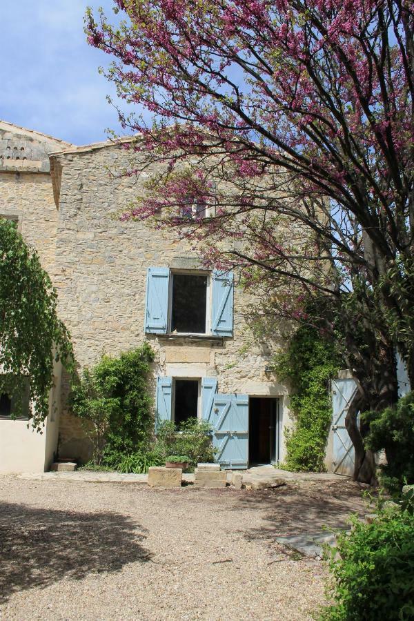 La Rose Bed & Breakfast Saint-Gervasy Luaran gambar